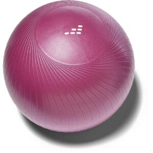weighted fitness ball 02 05 26